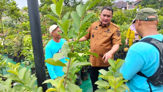 Pasar Petani Garuda mulai Beroperasi, ini kata Bupati Bogor